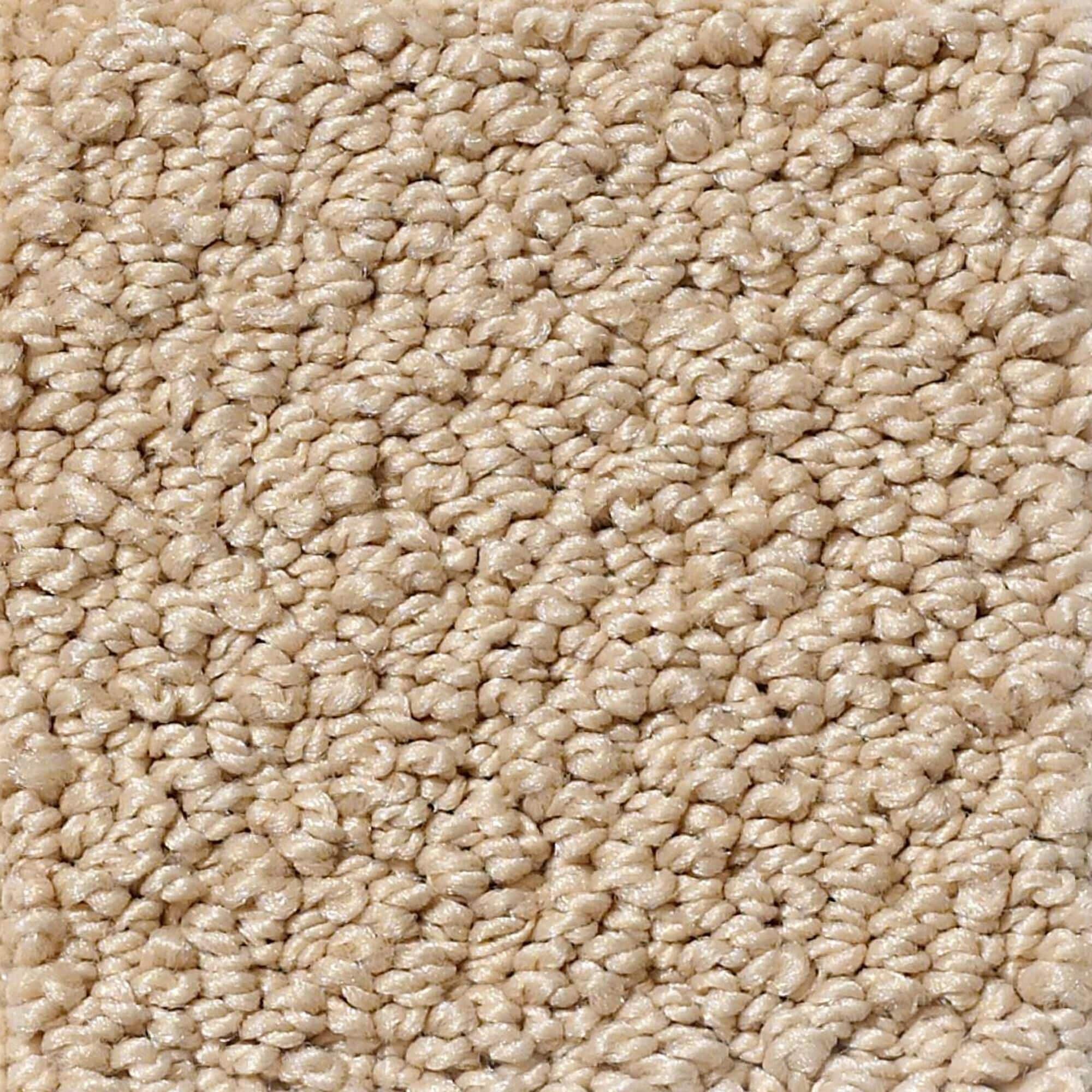 Philadelphia Detailed Statement Loop Carpet in Mesa, , large