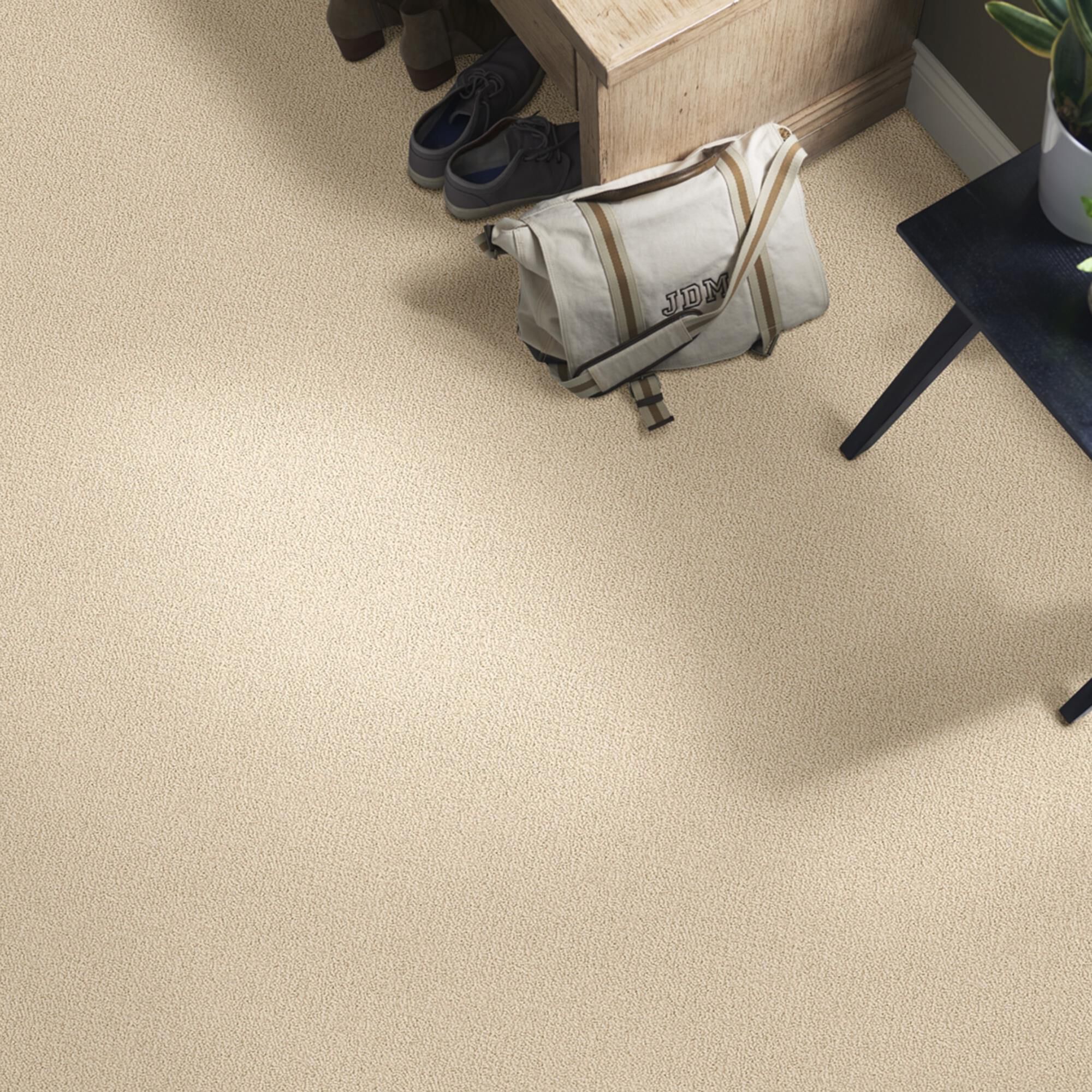 Philadelphia Detailed Statement Loop Carpet in Mesa, , large