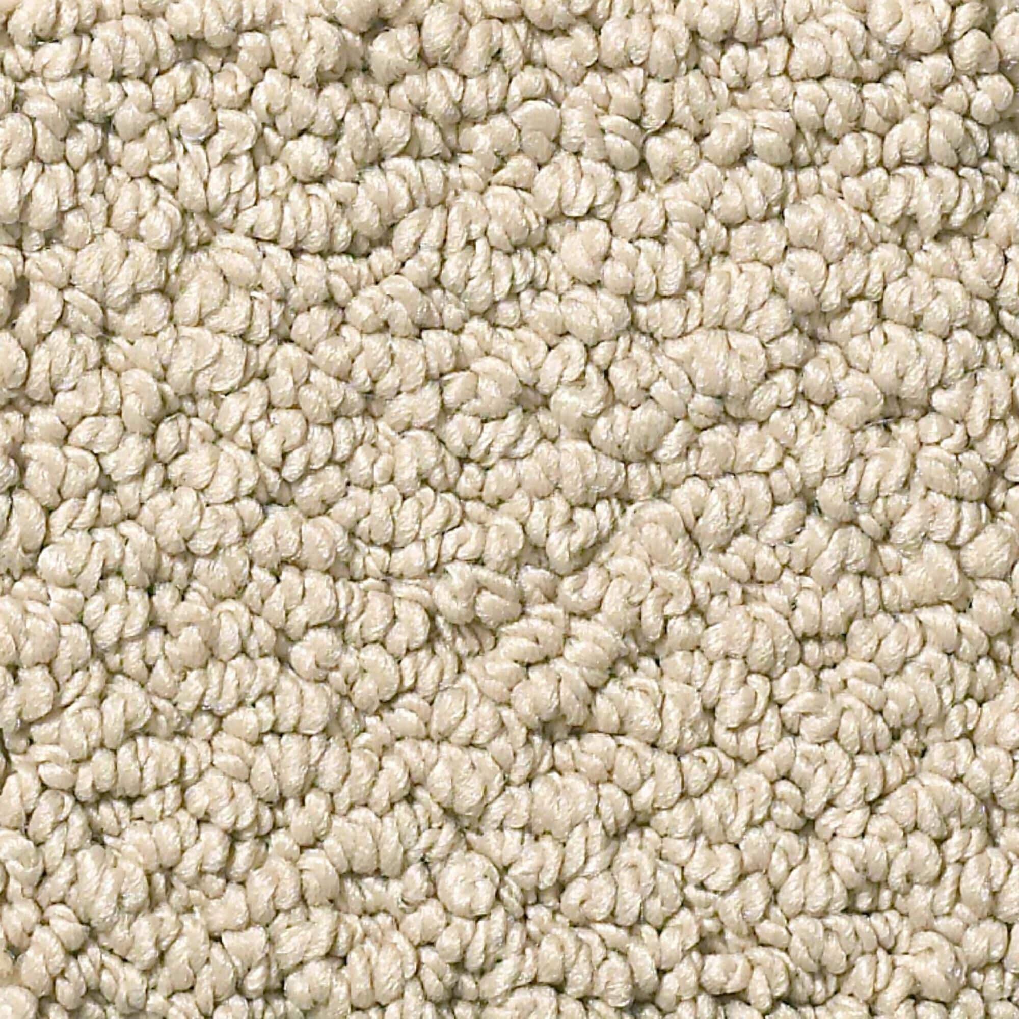 Philadelphia Detailed Statement Loop Carpet in Latte, , large