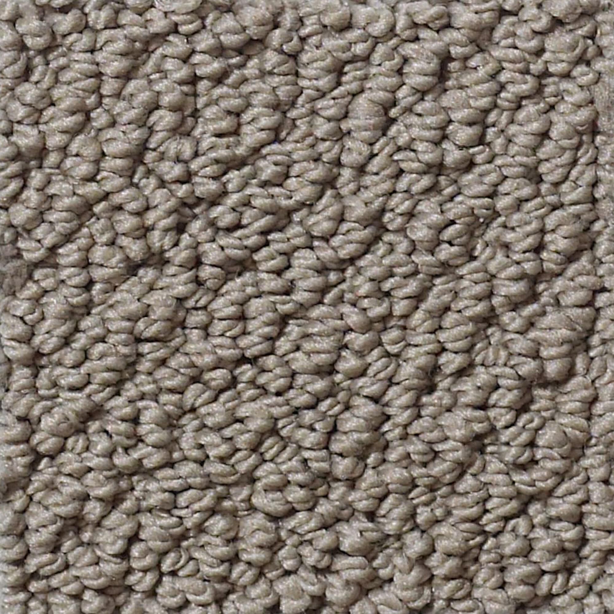 Philadelphia Detailed Statement Loop Carpet in Rustic Elegance, , large