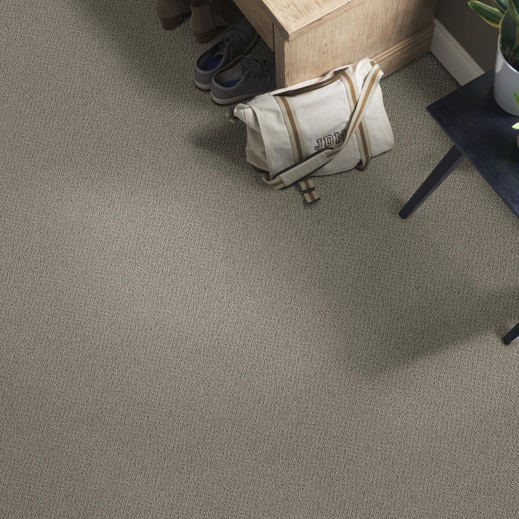 Philadelphia Detailed Statement Loop Carpet in Rustic Elegance, , large