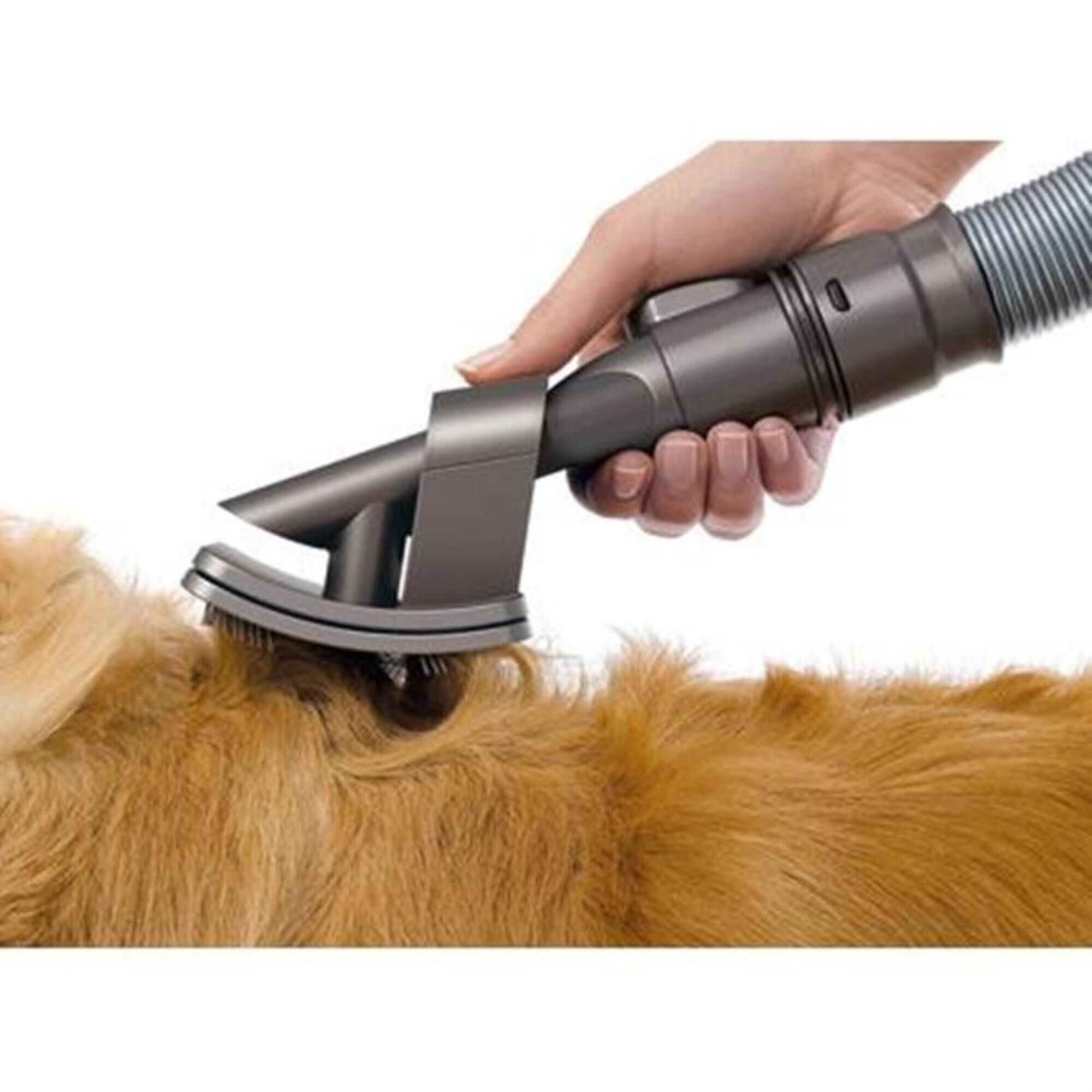 Dyson Pet Groom Tool, , large