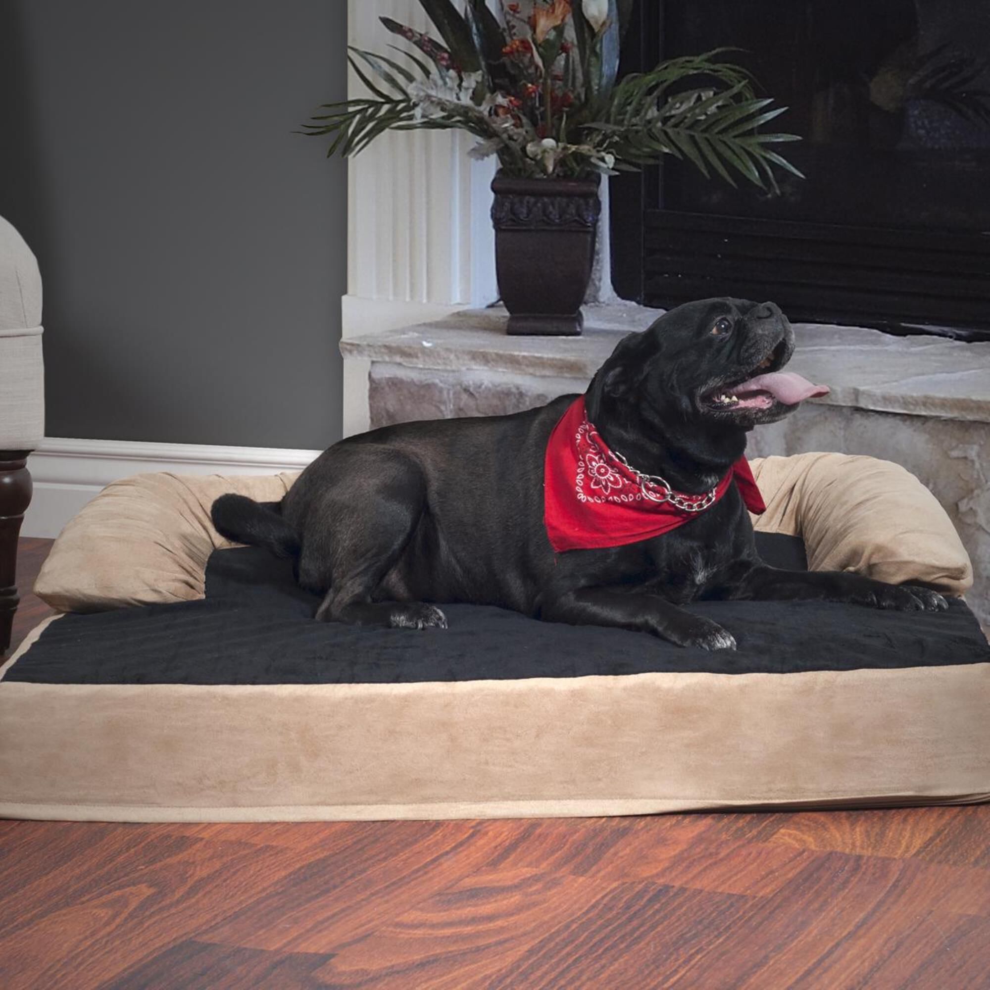 Timberlake PETMAKER Jumbo Orthopedic Memory Foam Pet Bed in Tan, , large